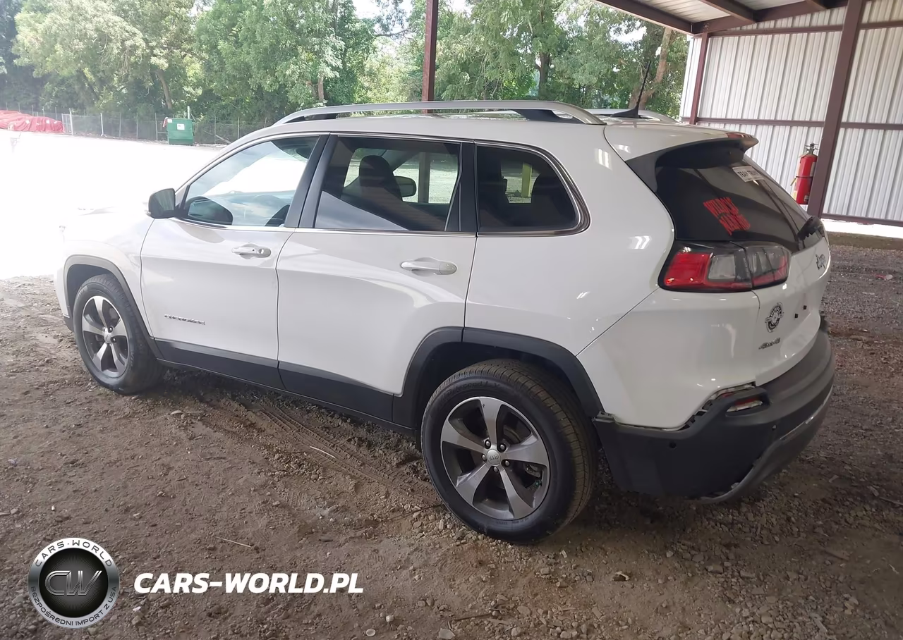 2019 Jeep Cherokee Limited 4X4 VIN:1C4PJMDX3KD197252 - 3
