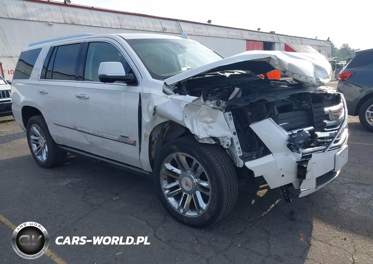 2016 Cadillac Escalade Platinum VIN:1GYS4DKJ4GR289863 - 1