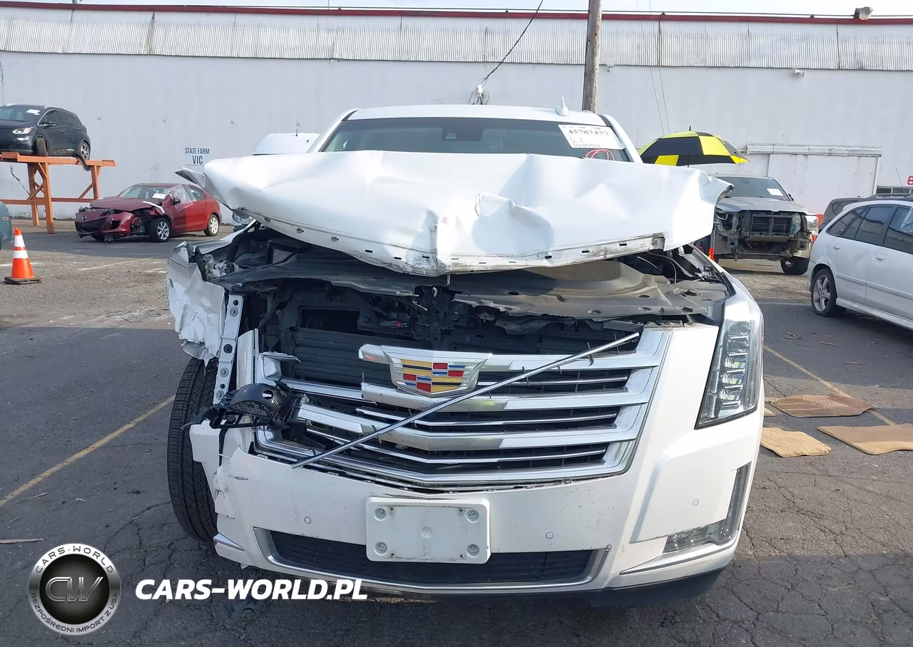 2016 Cadillac Escalade Platinum VIN:1GYS4DKJ4GR289863 - 12