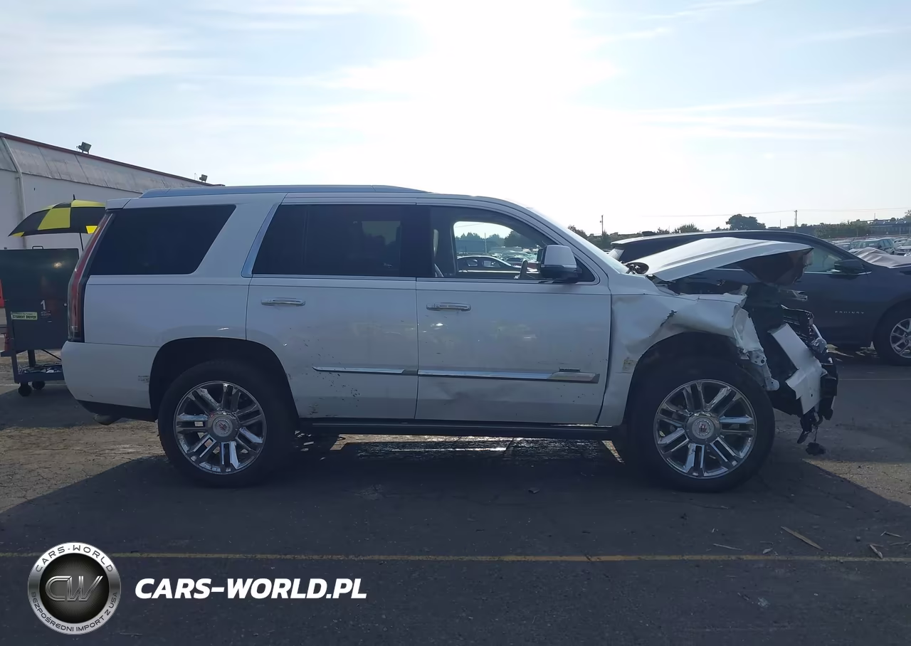 2016 Cadillac Escalade Platinum VIN:1GYS4DKJ4GR289863 - 13
