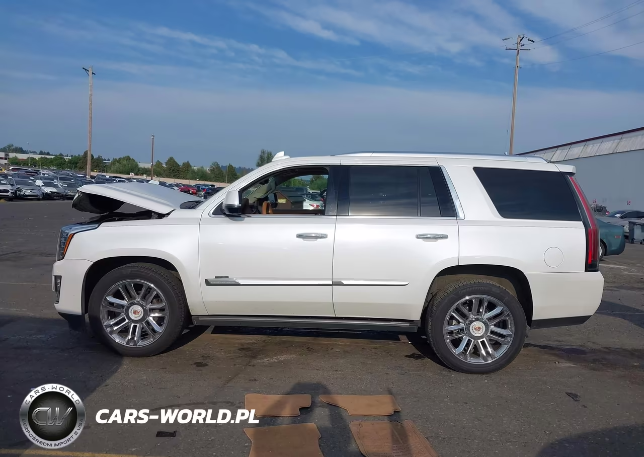 2016 Cadillac Escalade Platinum VIN:1GYS4DKJ4GR289863 - 14