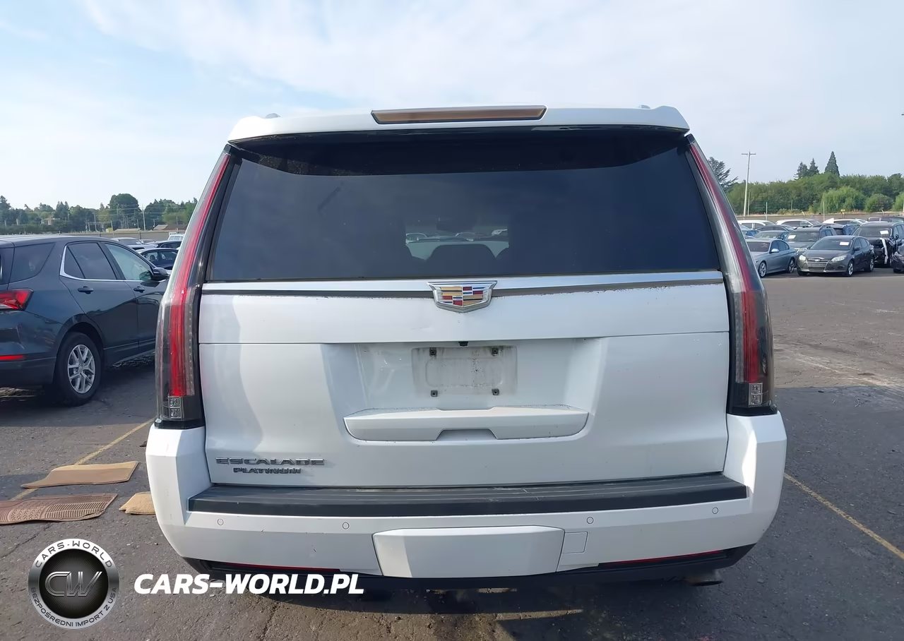 2016 Cadillac Escalade Platinum VIN:1GYS4DKJ4GR289863 - 16
