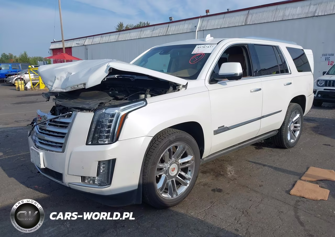 2016 Cadillac Escalade Platinum VIN:1GYS4DKJ4GR289863 - 2