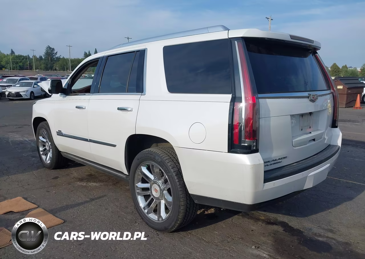 2016 Cadillac Escalade Platinum VIN:1GYS4DKJ4GR289863 - 3