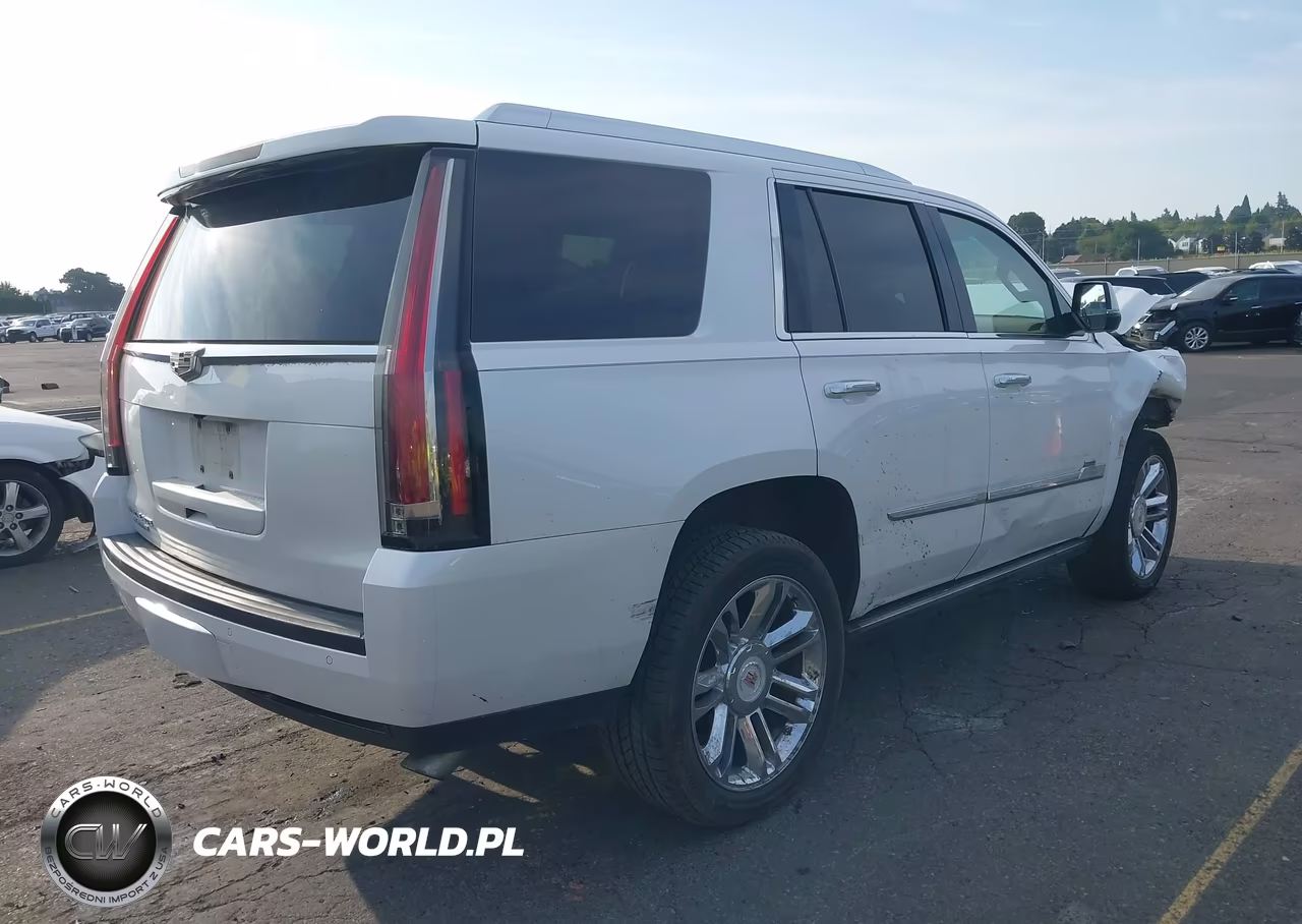 2016 Cadillac Escalade Platinum VIN:1GYS4DKJ4GR289863 - 4