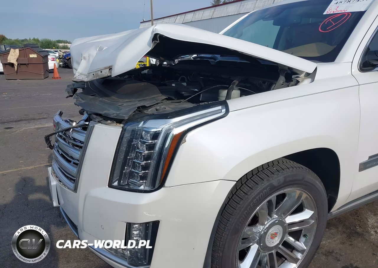 2016 Cadillac Escalade Platinum VIN:1GYS4DKJ4GR289863 - 6