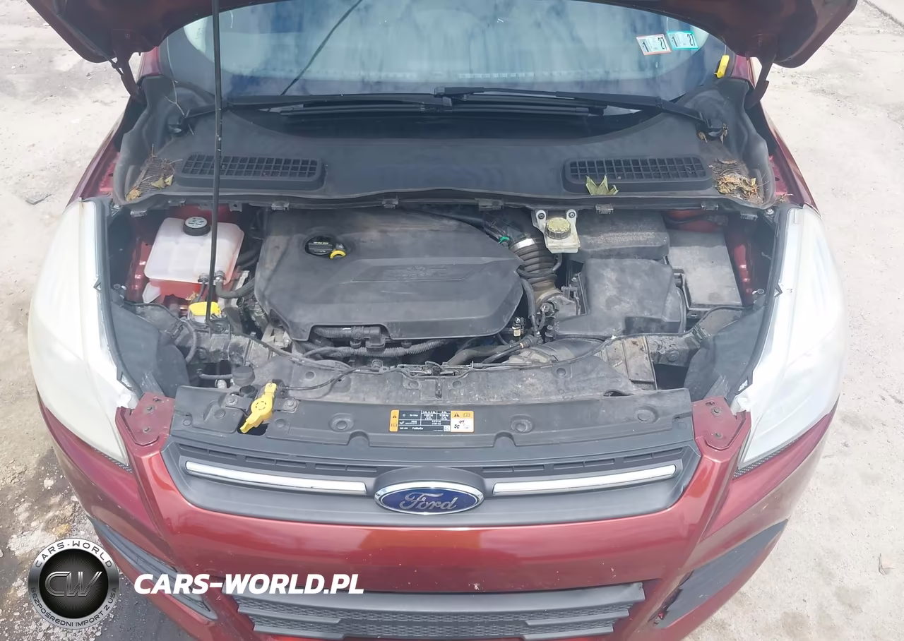 2014 Ford Escape Se VIN:1FMCU9GX5EUE09132 - 10
