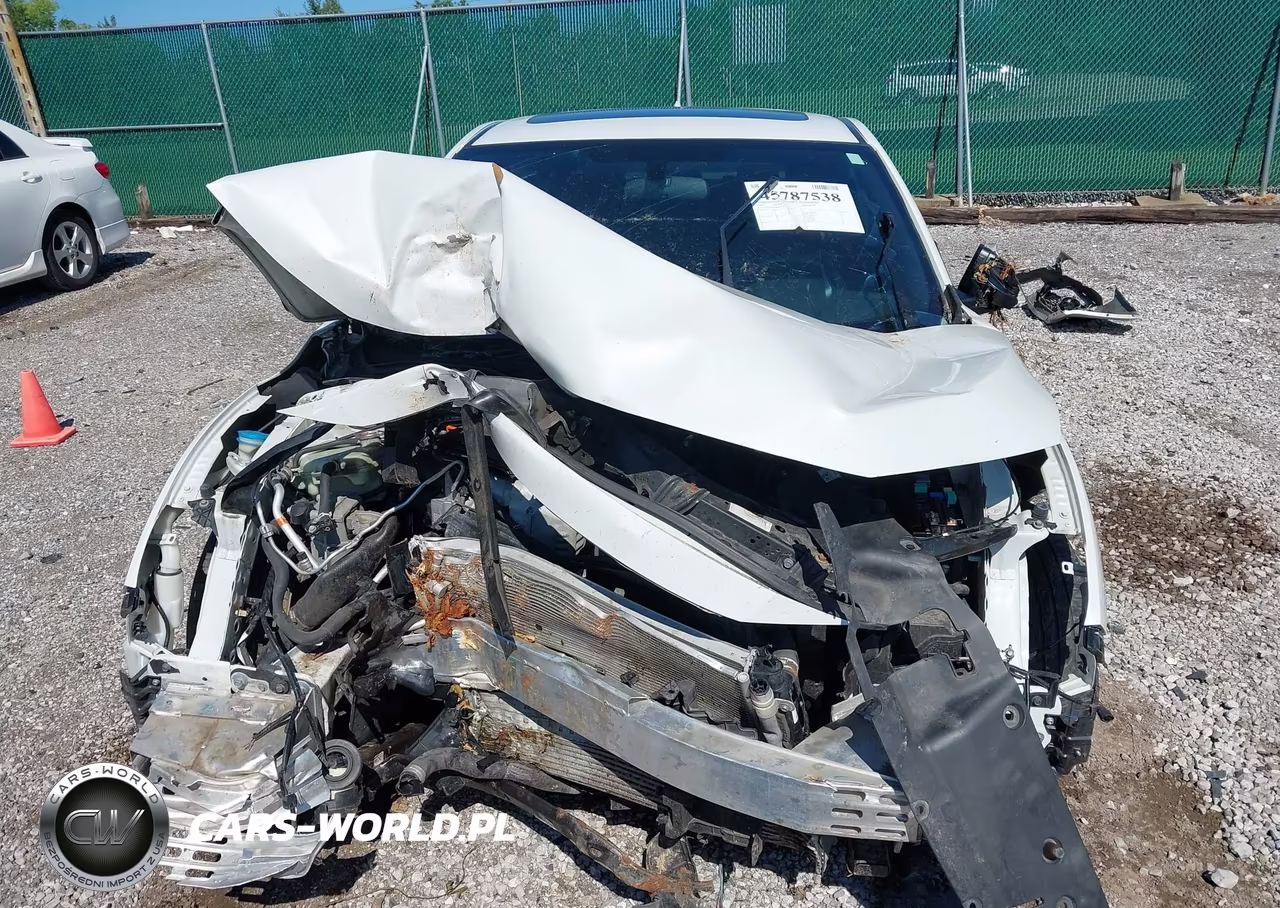 2019 Honda Civic Si VIN:2HGFC3A54KH754919 - 12