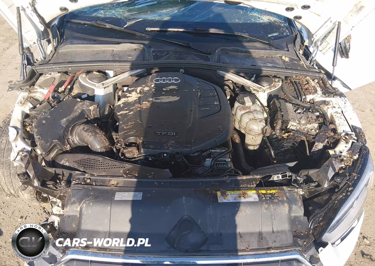 2019 Audi A5 Premium Plus S-Line VIN:WAUENCF52KA029327 - 10