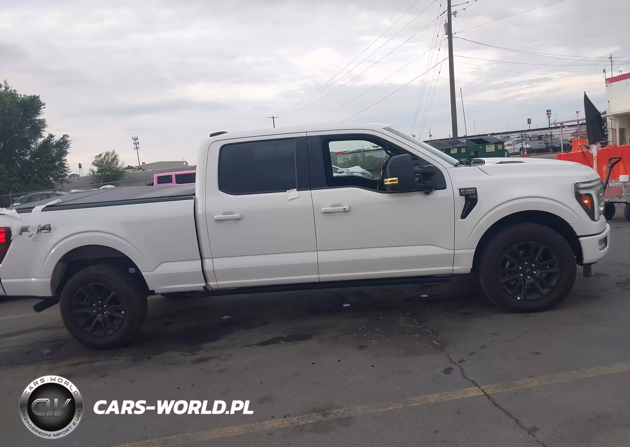 2024 Ford F-150 Platinum VIN:1FTFW7L85RFB36136 - 13