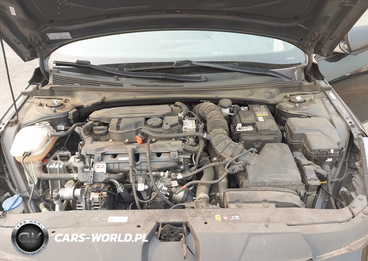 2022 Hyundai Elantra N Line VIN:KMHLR4AF9NU240608 - 10
