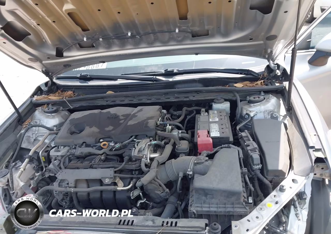 2019 Toyota Camry Le VIN:4T1B11HK2KU206624 - 10