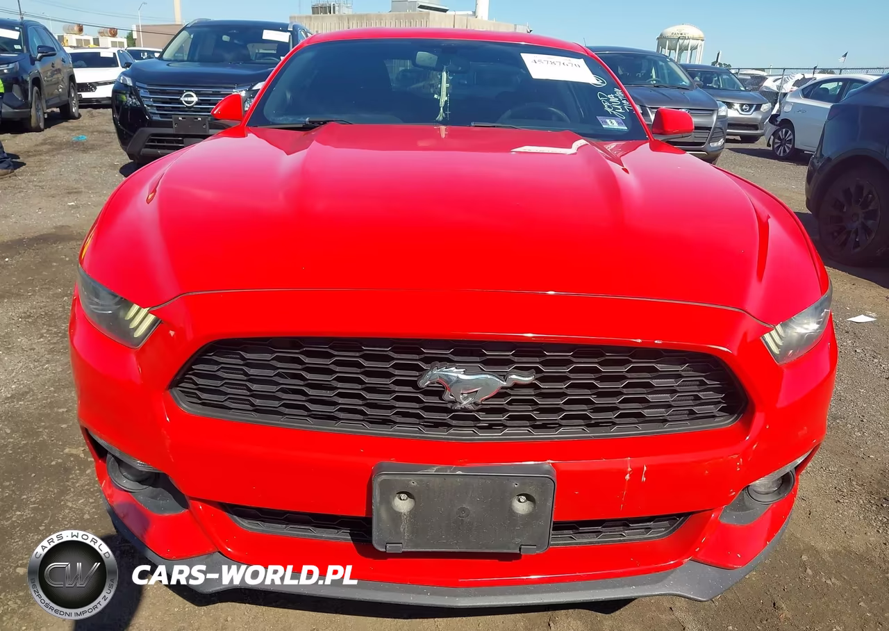 2017 Ford Mustang Ecoboost VIN:1FA6P8TH4H5246334 - 12