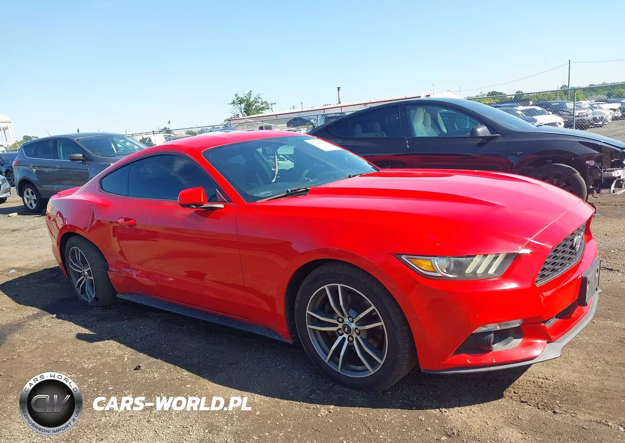 2017 Ford Mustang Ecoboost VIN:1FA6P8TH4H5246334 - 13
