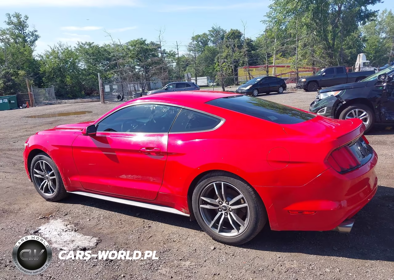 2017 Ford Mustang Ecoboost VIN:1FA6P8TH4H5246334 - 14