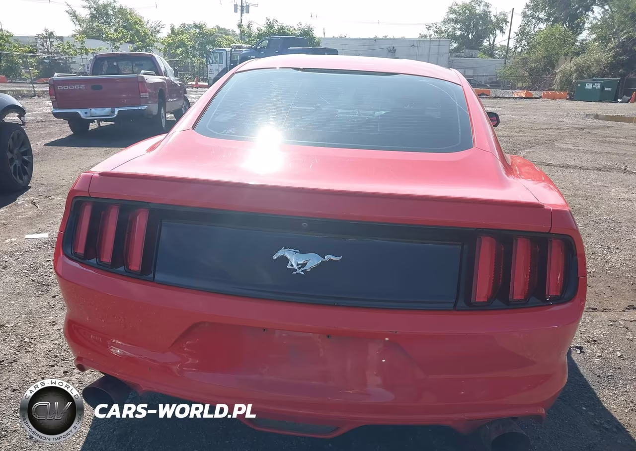 2017 Ford Mustang Ecoboost VIN:1FA6P8TH4H5246334 - 16