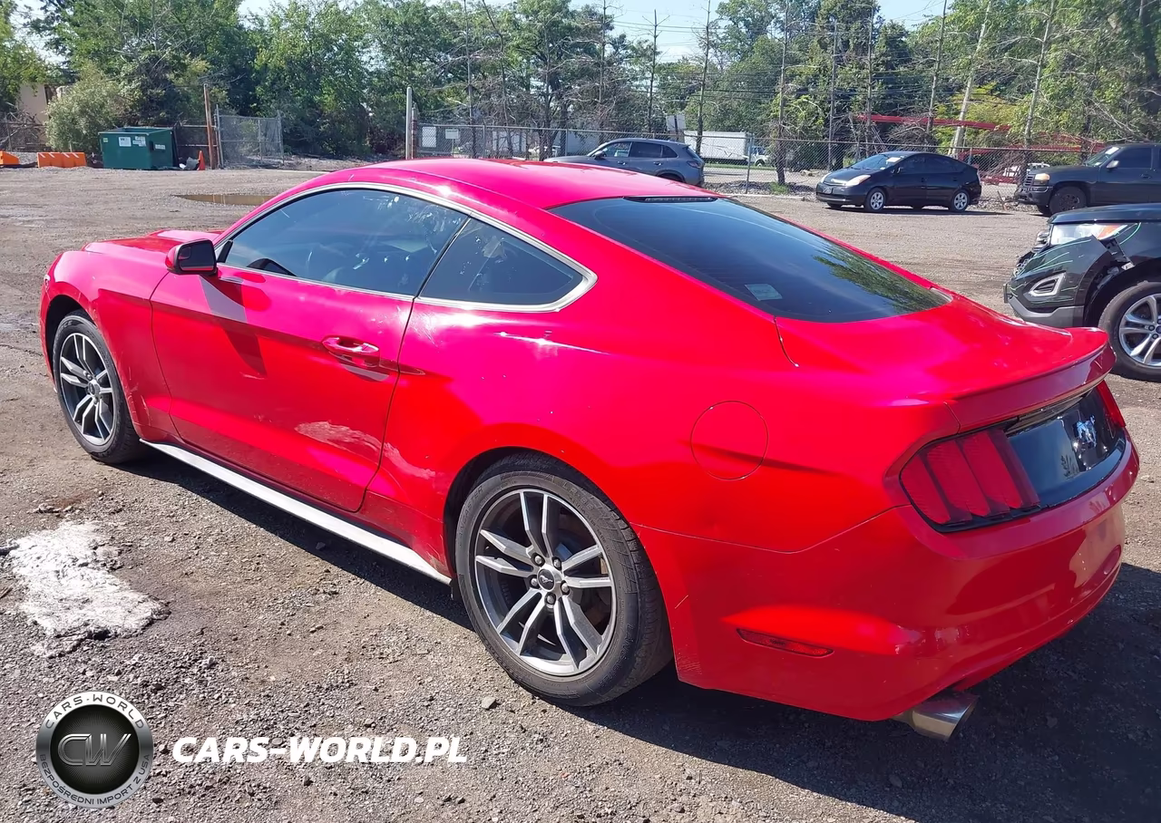 2017 Ford Mustang Ecoboost VIN:1FA6P8TH4H5246334 - 3