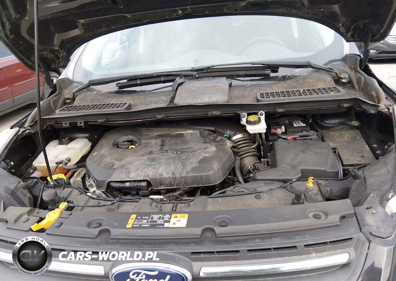 2014 Ford Escape Se VIN:1FMCU0GX6EUD35991 - 10