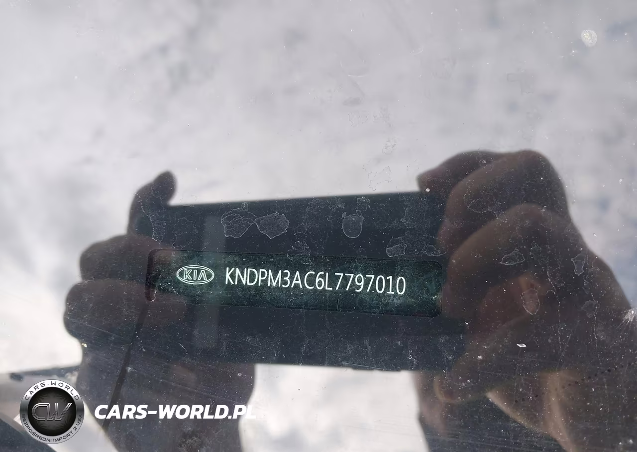 2020 Kia Sportage Lx VIN:KNDPM3AC6L7797010 - 9