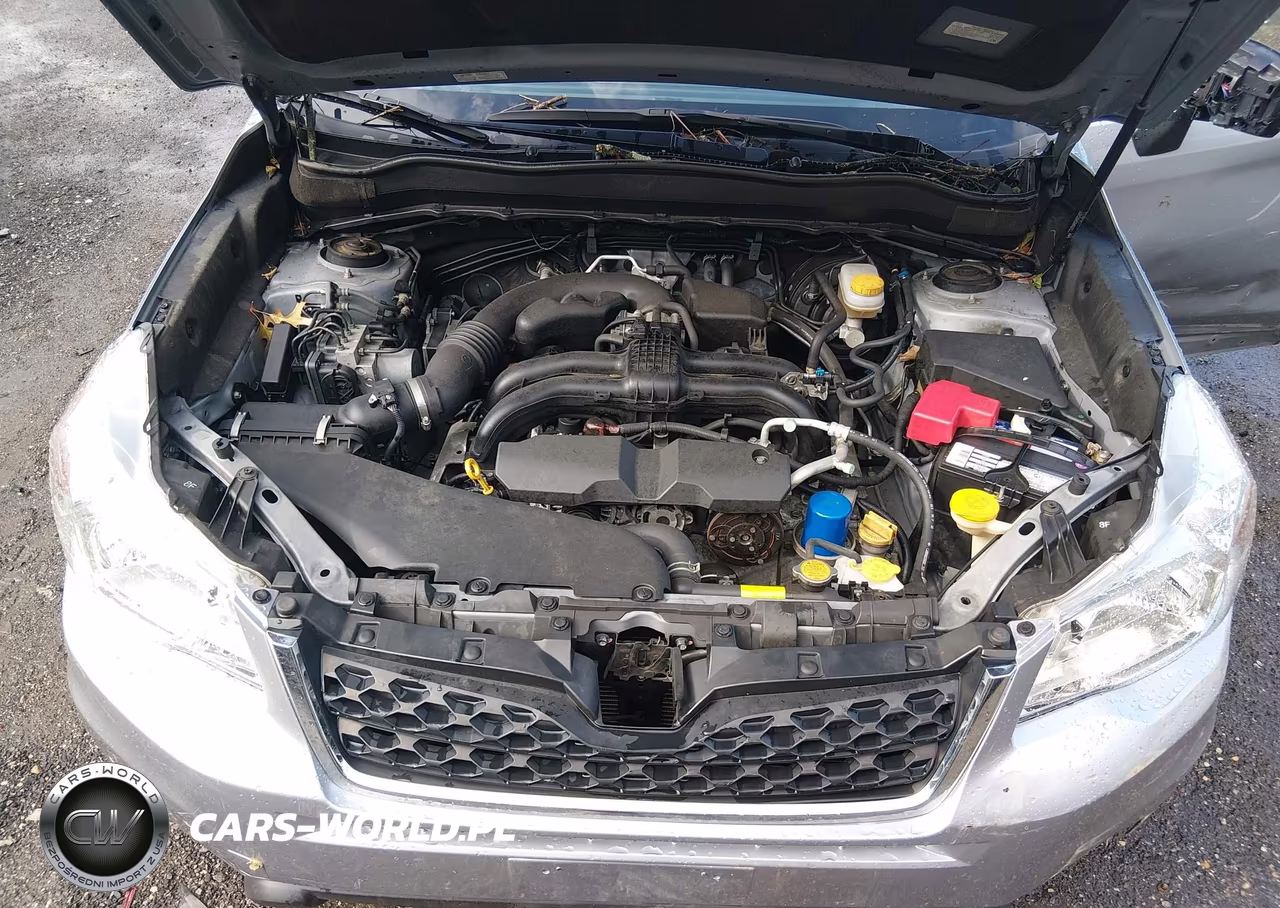 2016 Subaru Forester 2.5I Premium VIN:JF2SJAFC4GH492039 - 10