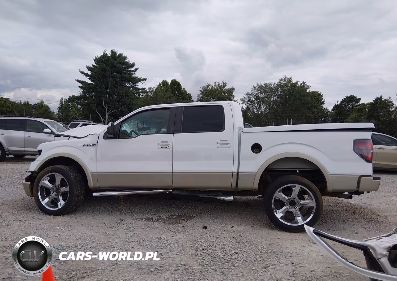 2010 Ford F-150 Fx2 Sport-Harley-Davidson-King Ranch-Lariat-Platinum-Xl-Xlt VIN:1FTFW1CV1AFD29746 - 15