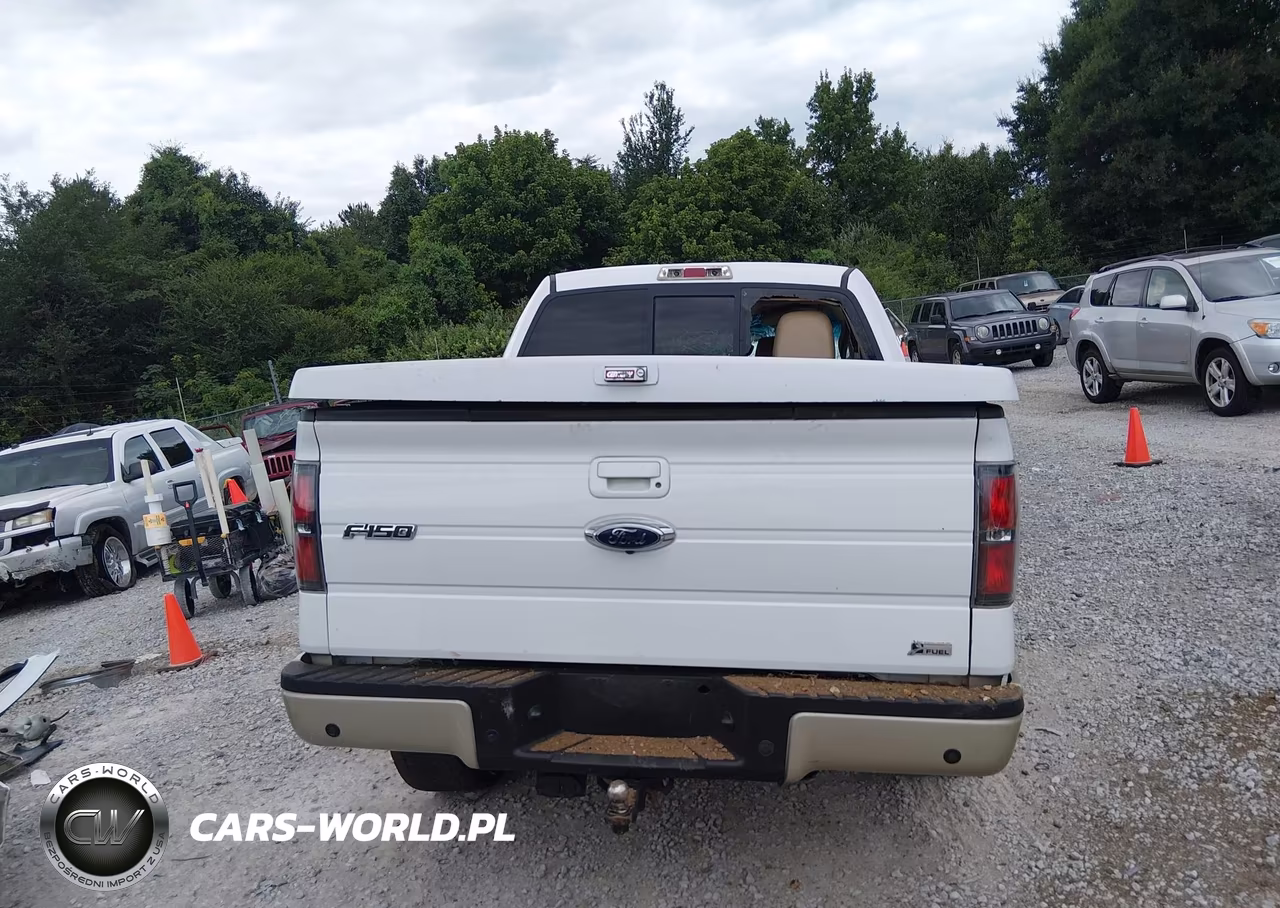 2010 Ford F-150 Fx2 Sport-Harley-Davidson-King Ranch-Lariat-Platinum-Xl-Xlt VIN:1FTFW1CV1AFD29746 - 17