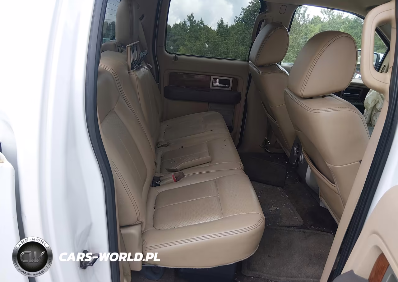 2010 Ford F-150 Fx2 Sport-Harley-Davidson-King Ranch-Lariat-Platinum-Xl-Xlt VIN:1FTFW1CV1AFD29746 - 8