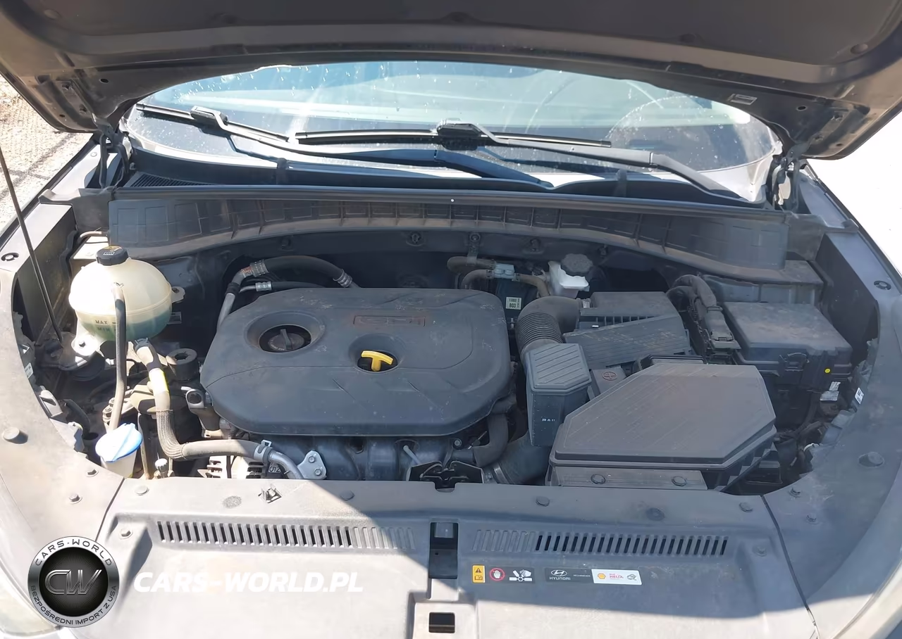2018 Hyundai Tucson Sel Plus VIN:KM8J33A45JU780999 - 10