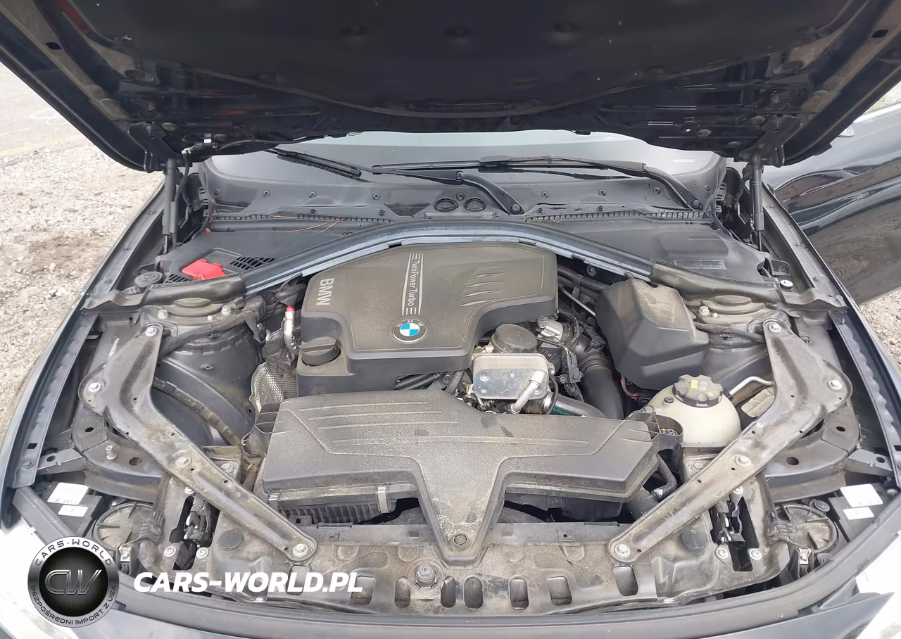 2014 BMW 428I VIN:WBA3V5C56EP747813 - 10