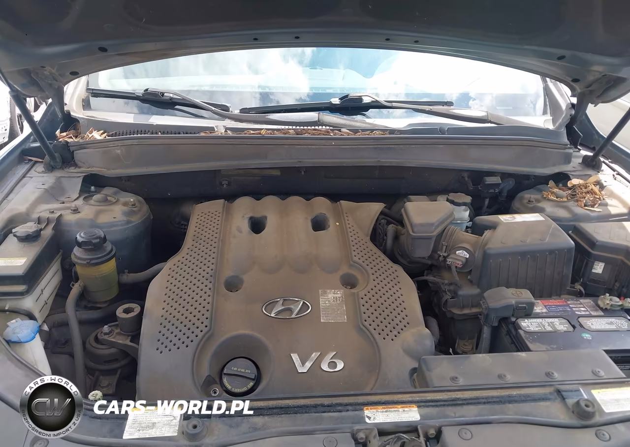 2007 Hyundai Santa Fe Gls VIN:5NMSG13D37H115534 - 10