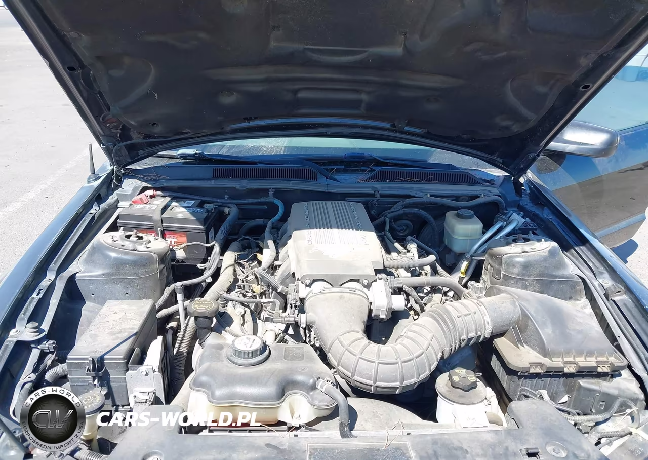 2007 Ford Mustang Gt Deluxe-Gt Premium VIN:1ZVHT85HX75338278 - 10