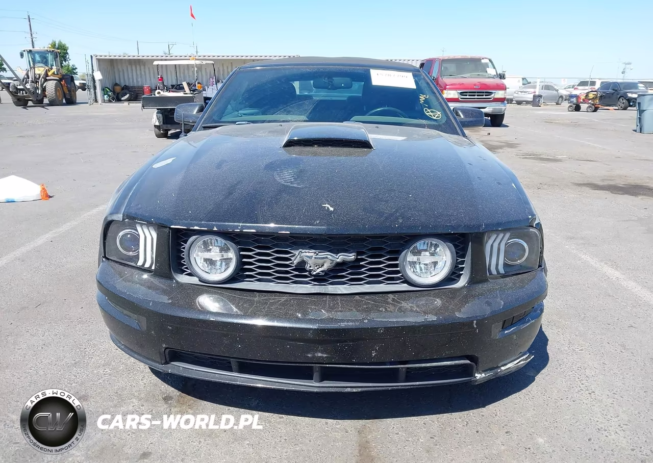2007 Ford Mustang Gt Deluxe-Gt Premium VIN:1ZVHT85HX75338278 - 12