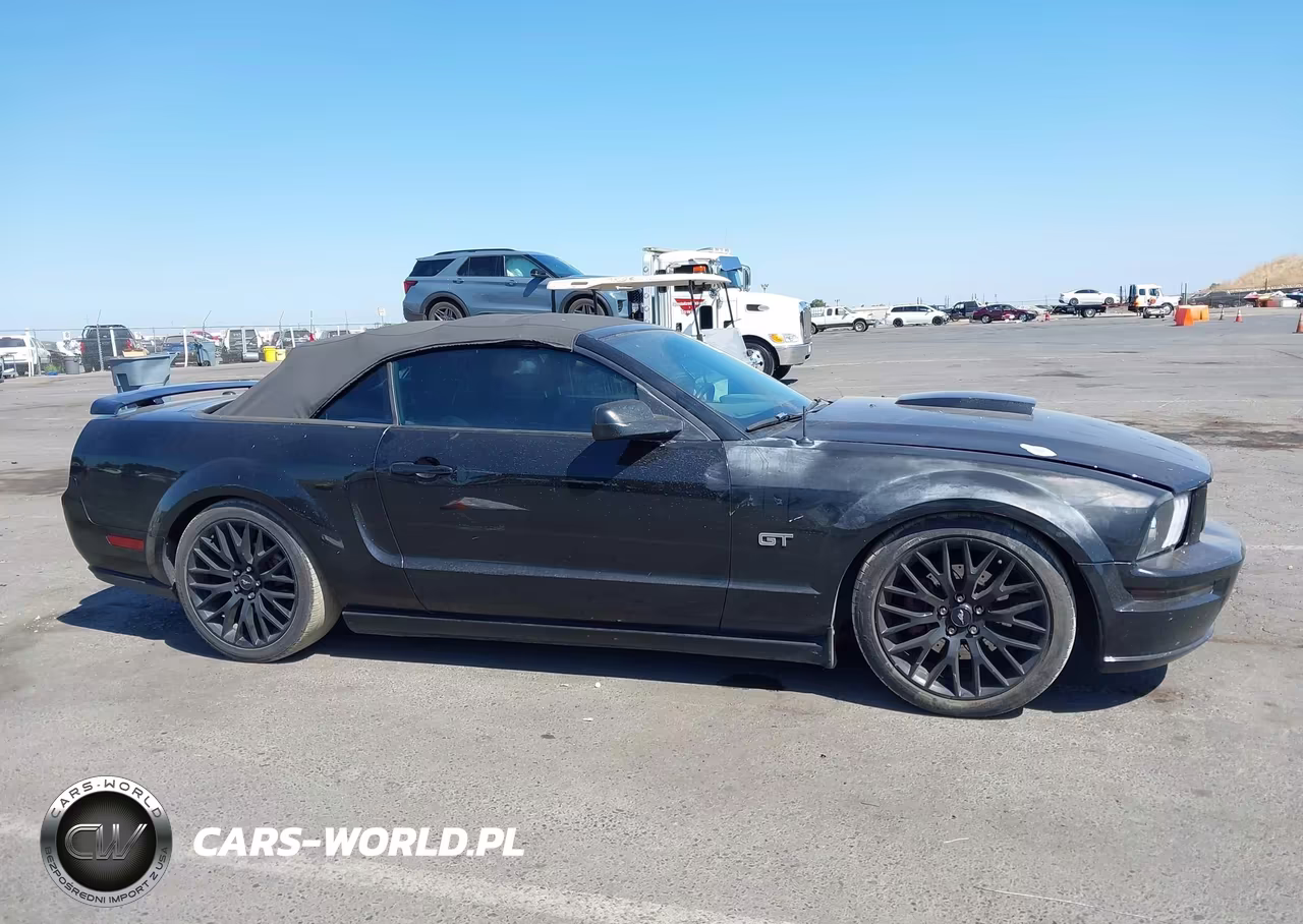 2007 Ford Mustang Gt Deluxe-Gt Premium VIN:1ZVHT85HX75338278 - 13