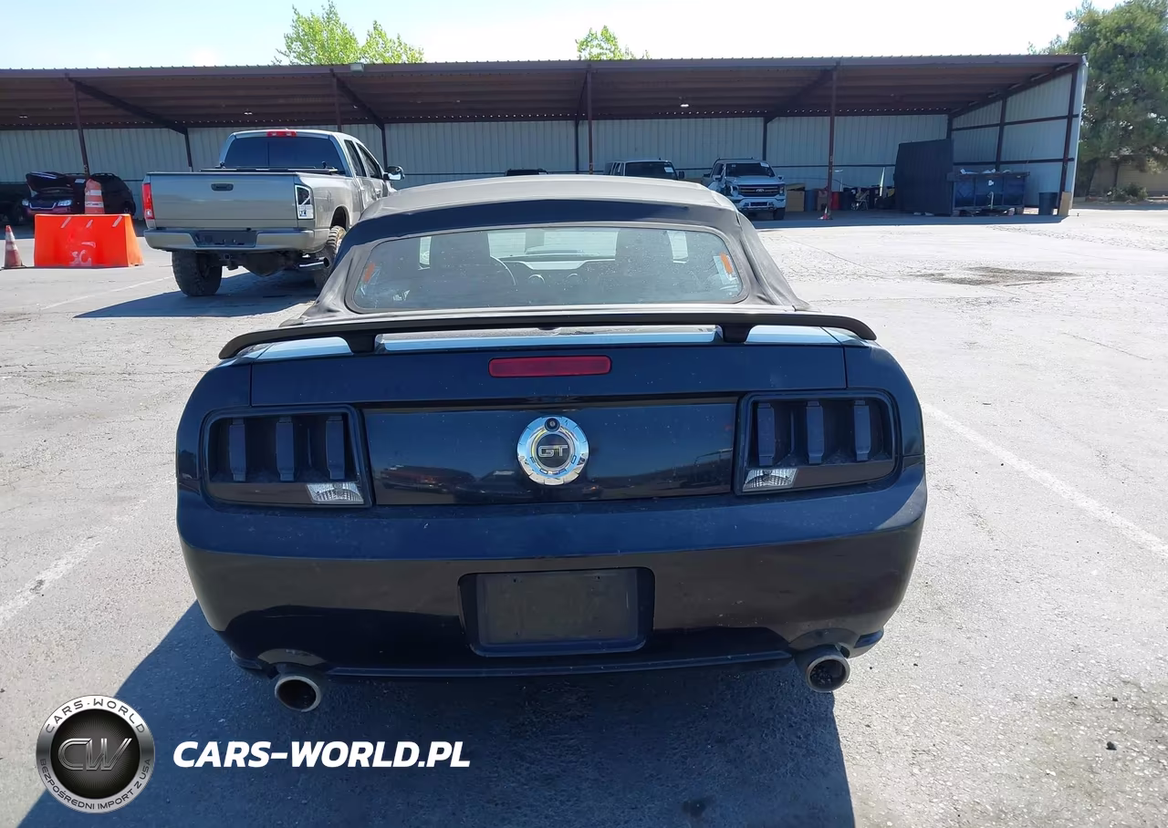 2007 Ford Mustang Gt Deluxe-Gt Premium VIN:1ZVHT85HX75338278 - 16