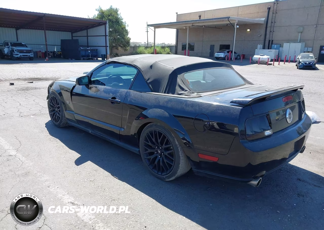 2007 Ford Mustang Gt Deluxe-Gt Premium VIN:1ZVHT85HX75338278 - 3