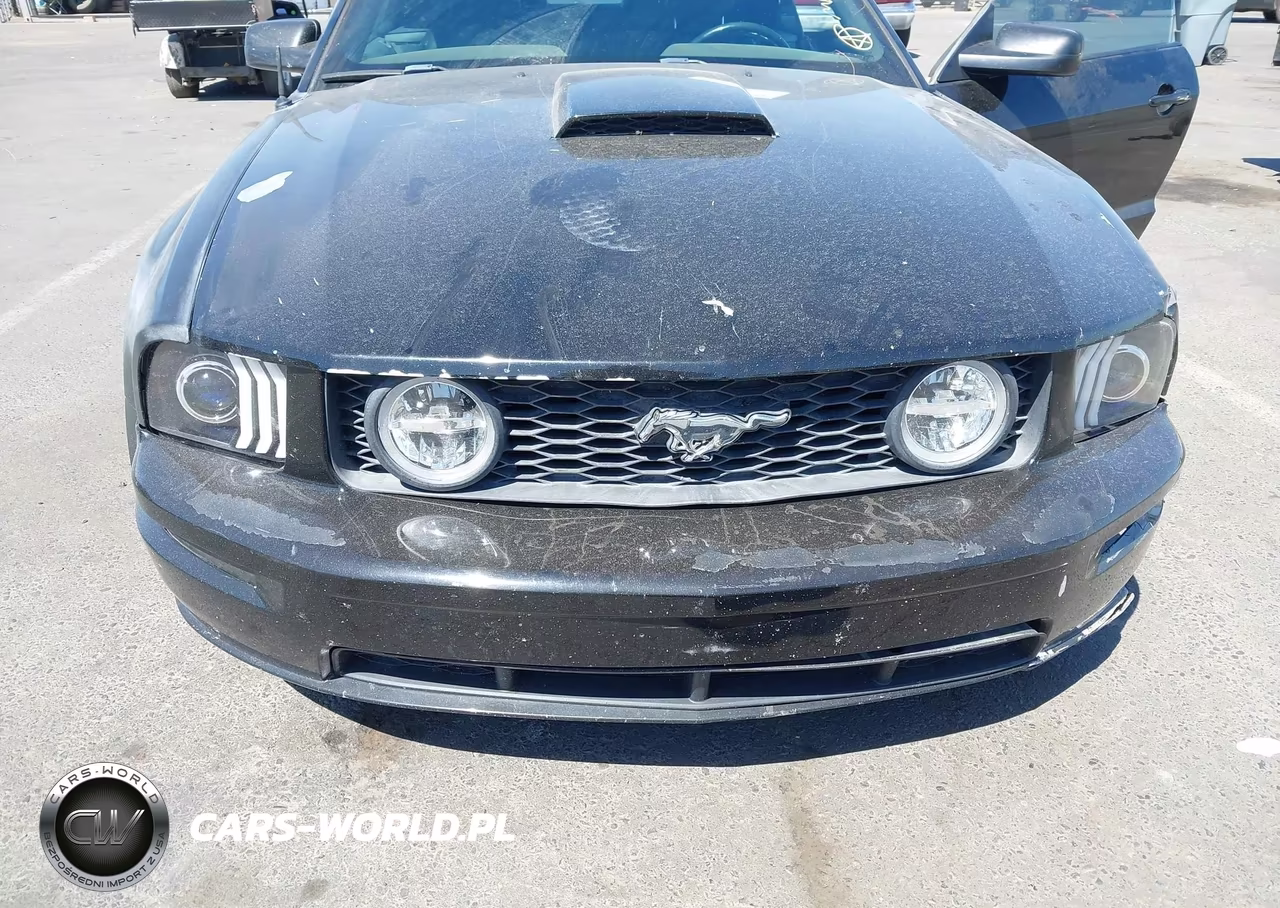 2007 Ford Mustang Gt Deluxe-Gt Premium VIN:1ZVHT85HX75338278 - 6