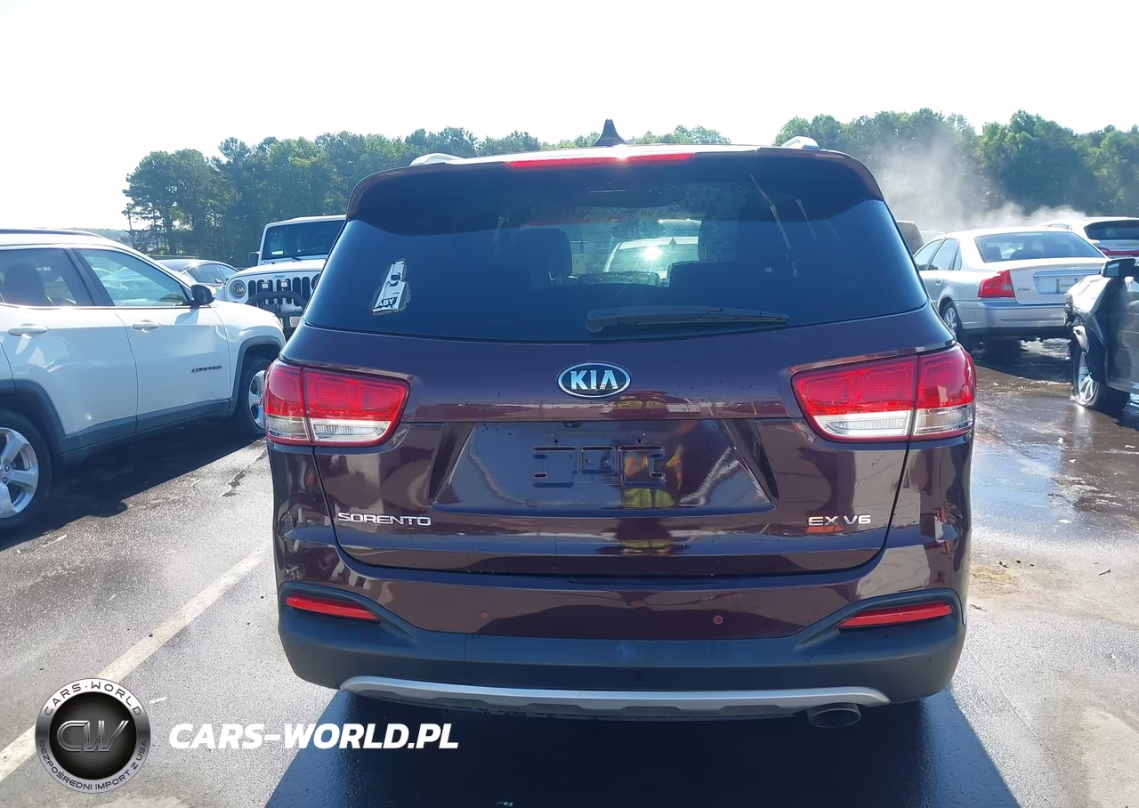 2017 Kia Sorento 3.3L Ex VIN:5XYPH4A52HG319639 - 17
