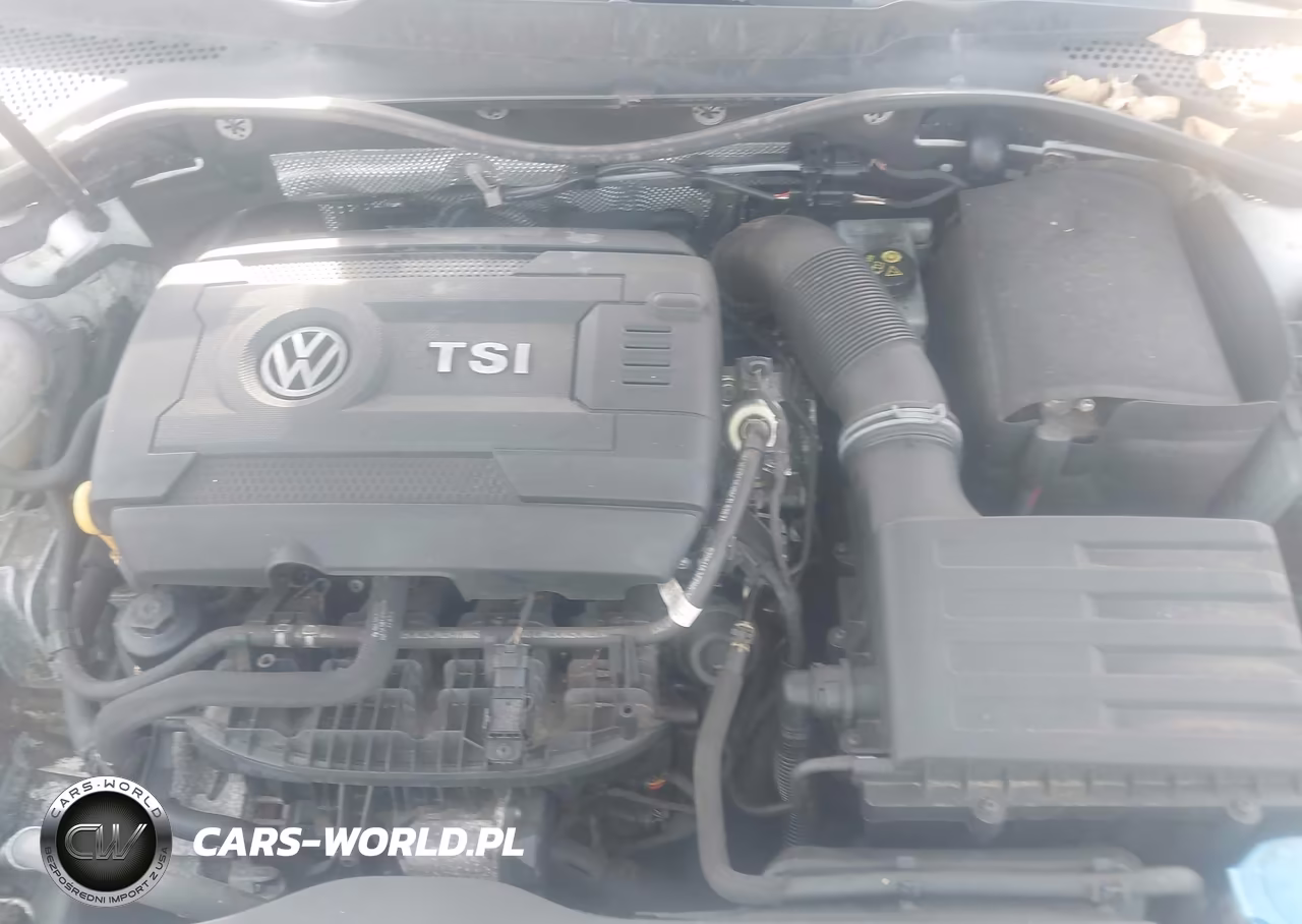 2015 Volkswagen Golf Tsi S 4-Door VIN:3VW217AUXFM095248 - 10