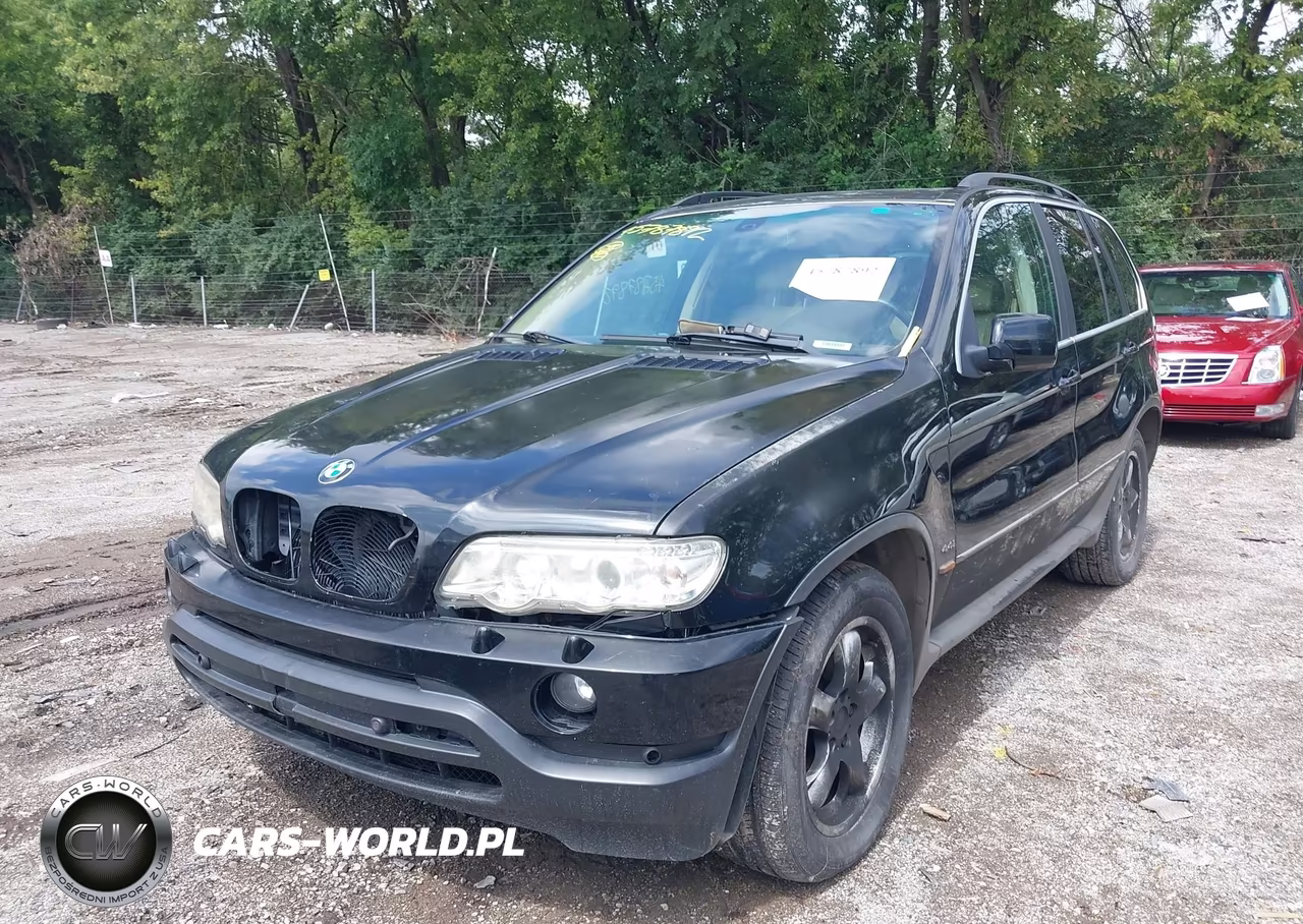 2003 BMW X5 4.4I VIN:5UXFB33533LH41857 - 2