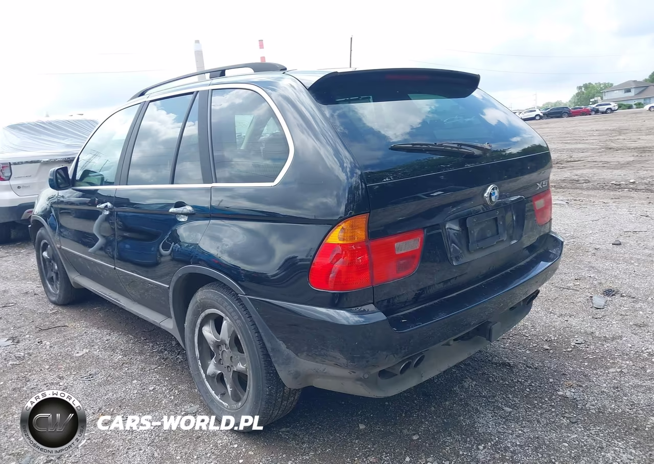 2003 BMW X5 4.4I VIN:5UXFB33533LH41857 - 3