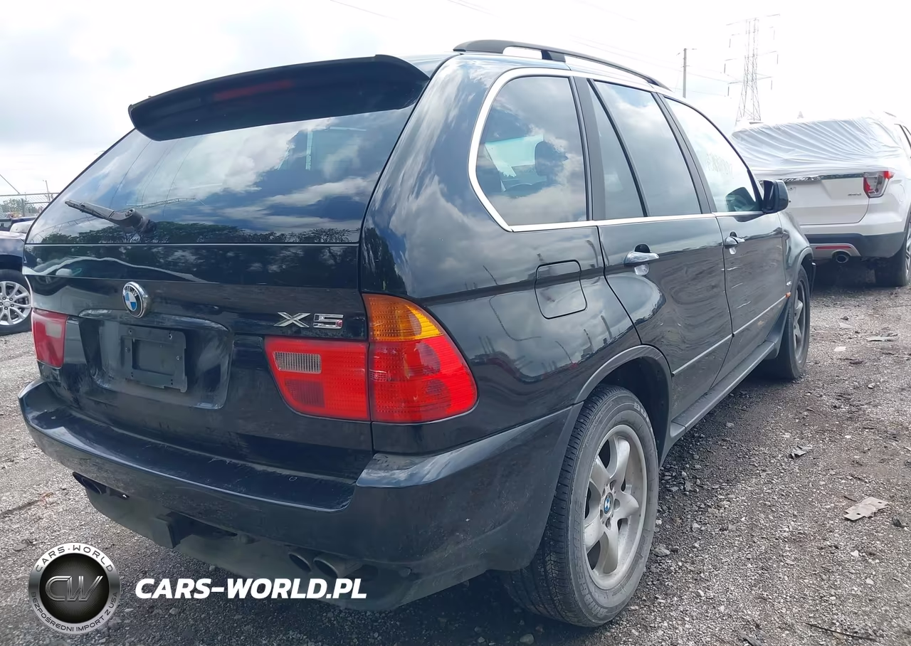 2003 BMW X5 4.4I VIN:5UXFB33533LH41857 - 4