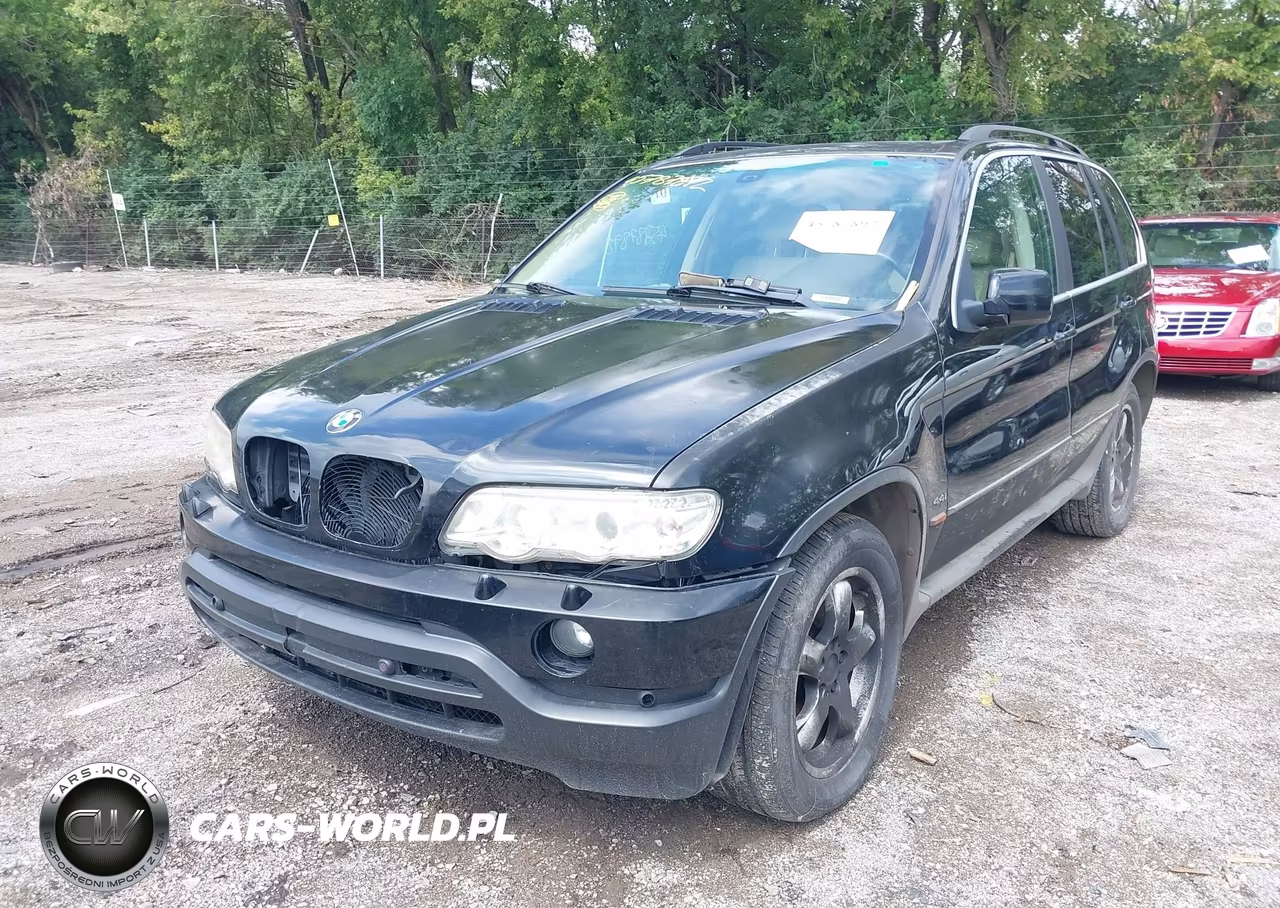 2003 BMW X5 4.4I VIN:5UXFB33533LH41857 - 6
