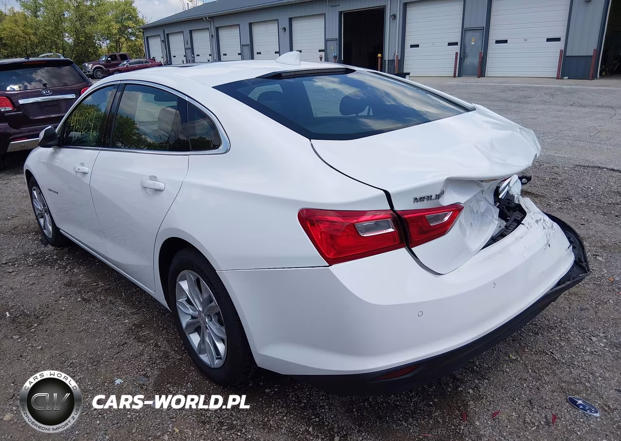 2024 Chevrolet Malibu Fwd 1Lt VIN:1G1ZD5ST5RF143111 - 17
