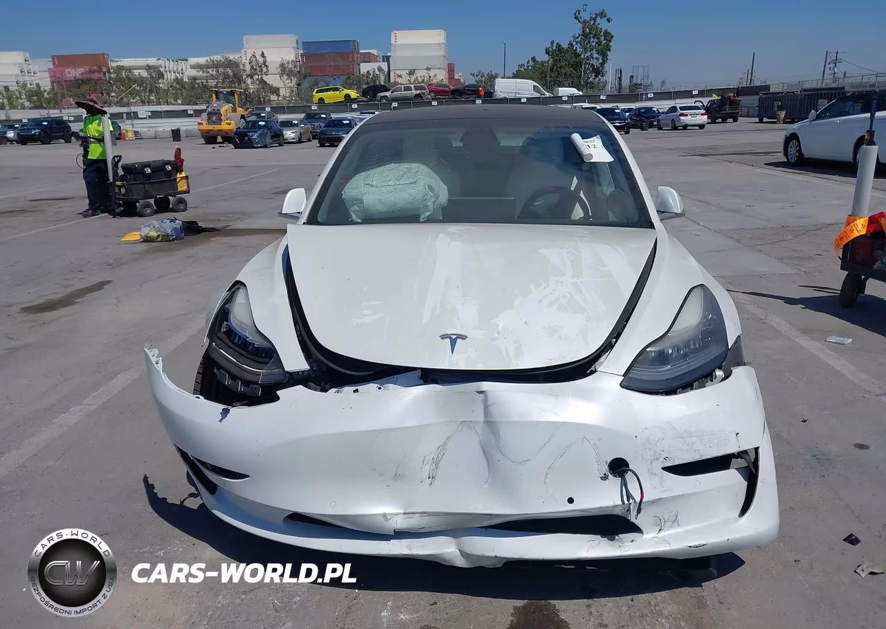 2019 Tesla Model 3 Long Range-Performance VIN:5YJ3E1EB2KF513124 - 12
