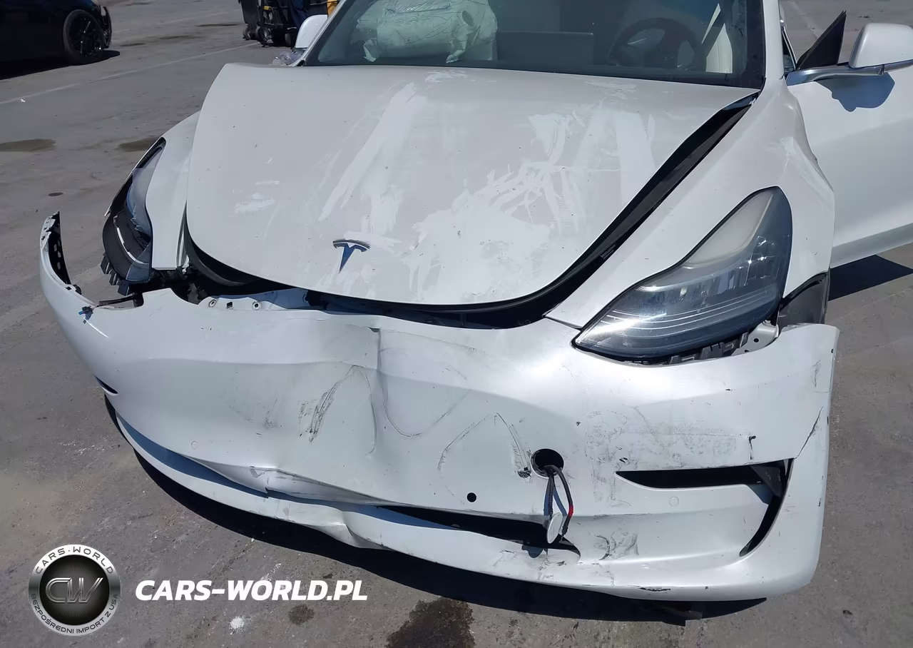 2019 Tesla Model 3 Long Range-Performance VIN:5YJ3E1EB2KF513124 - 20
