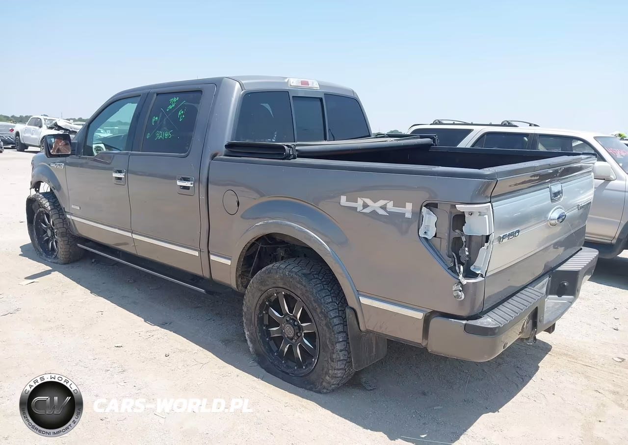 2013 Ford F-150 Platinum VIN:1FTFW1ET9DFB21033 - 3