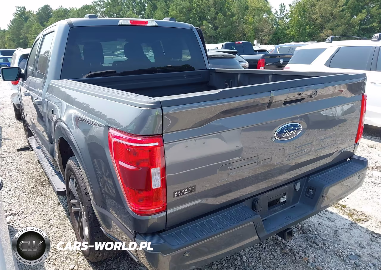 2023 Ford F-150 Xlt VIN:1FTEW1C54PFC48051 - 3