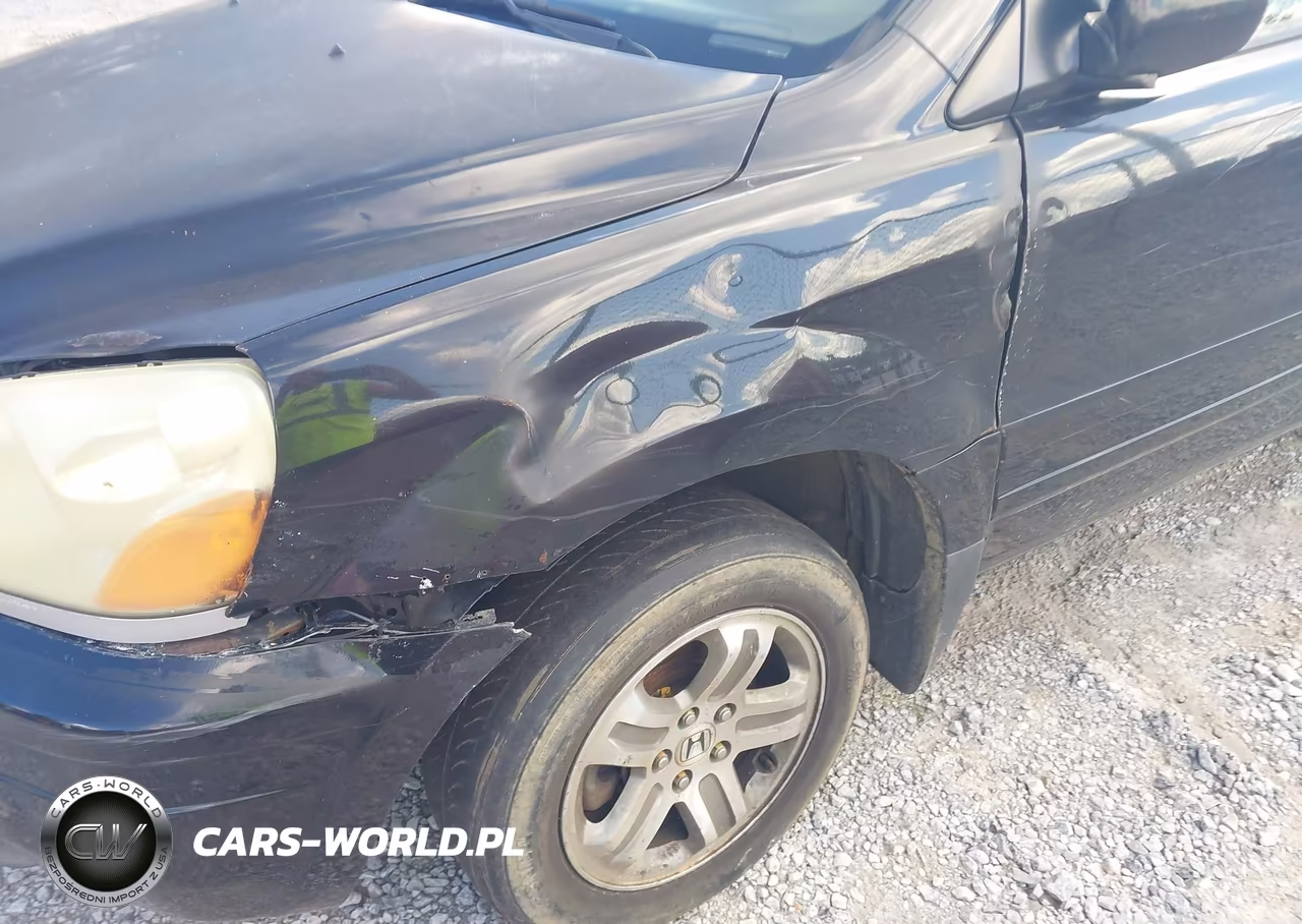 2004 Honda Pilot Ex-L VIN:5FNYF18594B002358 - 6