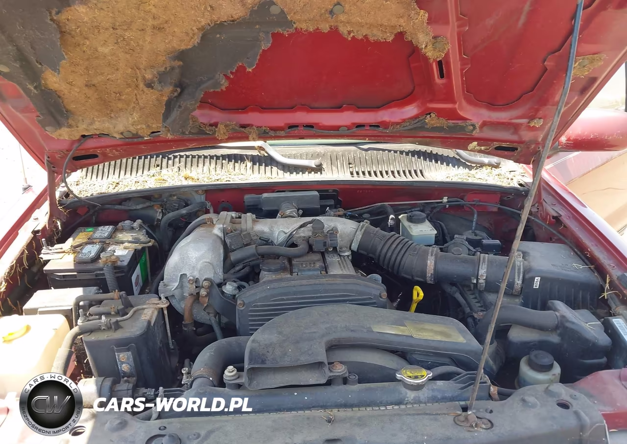 1999 Kia Sportage Ex VIN:KNDJA7239X5587894 - 10