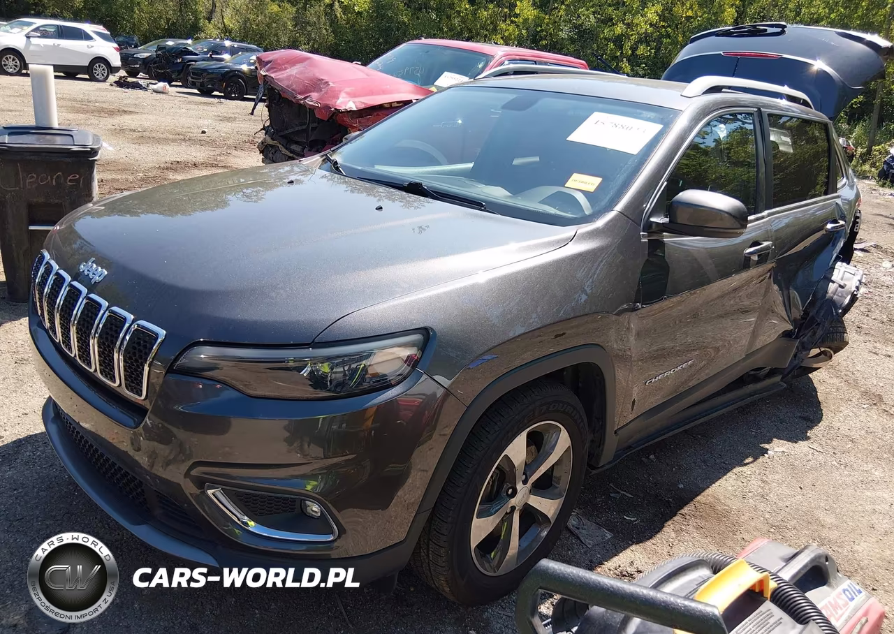 2019 Jeep Cherokee Limited 4X4 VIN:1C4PJMDX7KD186335 - 2